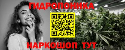 стаф Моздок