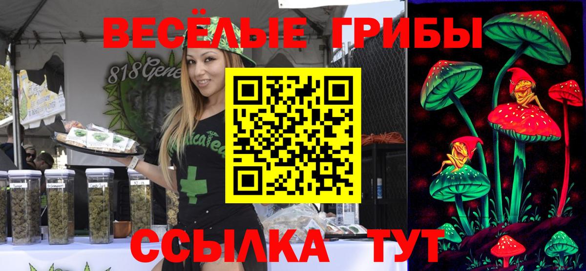 Псилоцибиновые грибы мицелий Верхняя Пышма